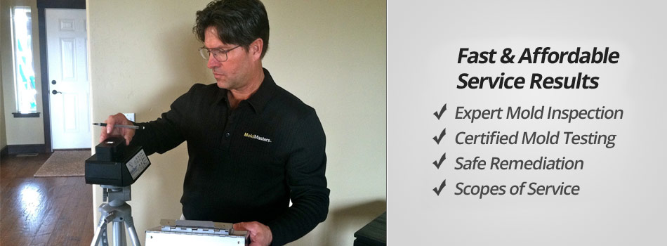 Fast & Affordable Serve Results: Expert Mold Inspection, Certified